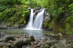 Cascade de Didier_ Martinique