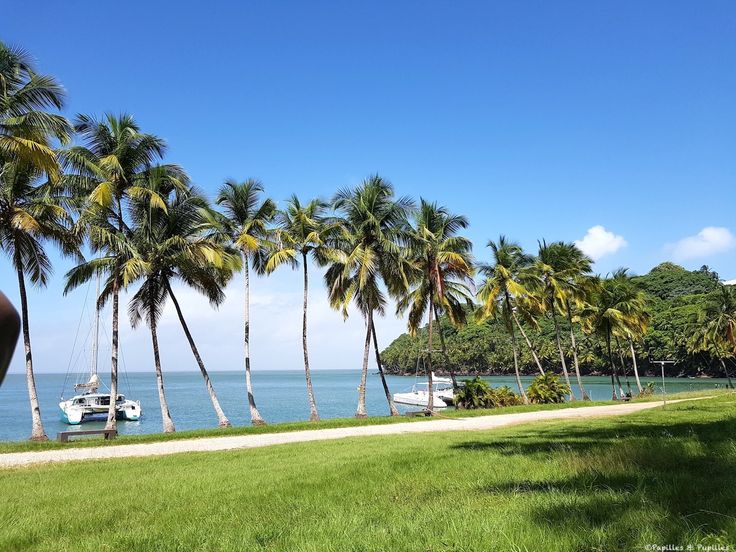 Iles du Salut, Guyane _ Entre paradis et enfer